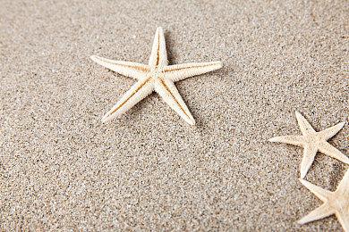 《血源》销量泄露 截止2020财年将近750万套